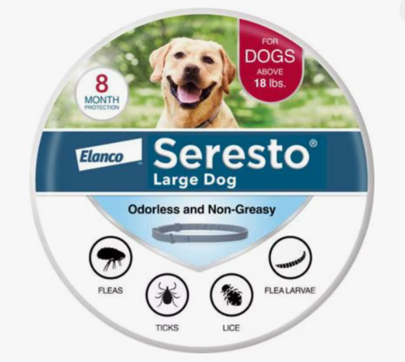 Dog flea and tick guide